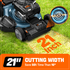 Frankincense Tallow Face + Body Balm